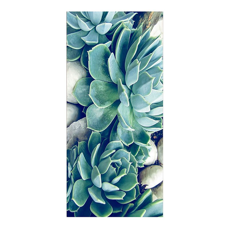 Courtside Market Succulents Wall Decal Mural, Multicolor, 96X45