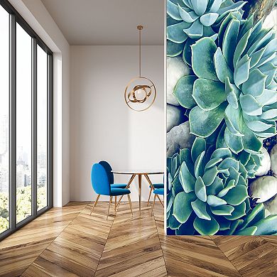 Courtside Market Succulents Wall Decal Mural
