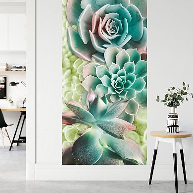 Courtside Market Adored Succulents Wall Decal Mural