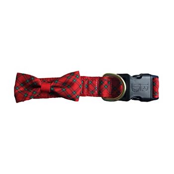 Ellen degeneres bow shop tie dog collar