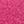 White Fuchsia