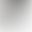 10k White Gold