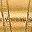 14k Gold