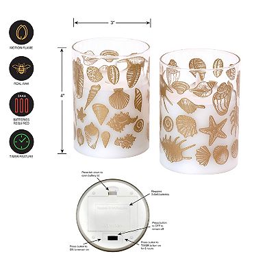 LumaBase Seashells Battery Operated Wax Candles in Glass Holders with Moving Flame 2-piece Set