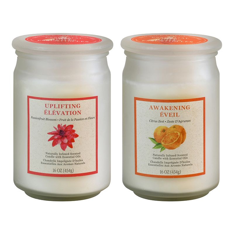 64128661 LumaBase 16-oz. Inspiration Scented Candle Collect sku 64128661