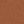 Brown Light Camel