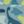 Blue Dinoflage