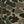 Creek Puzzle Camo