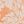 Orange Palm Leaves
