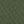 Olive White