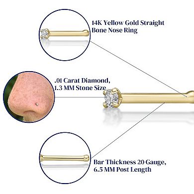 Lila Moon 14k Gold 1.3 mm Diamond Accent Nose Stud