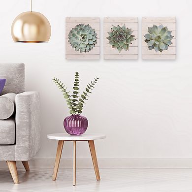 Patton Succulents on Wood, Set of 3 Canvas Wall Art