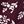 Burgundy Flowr Sprig