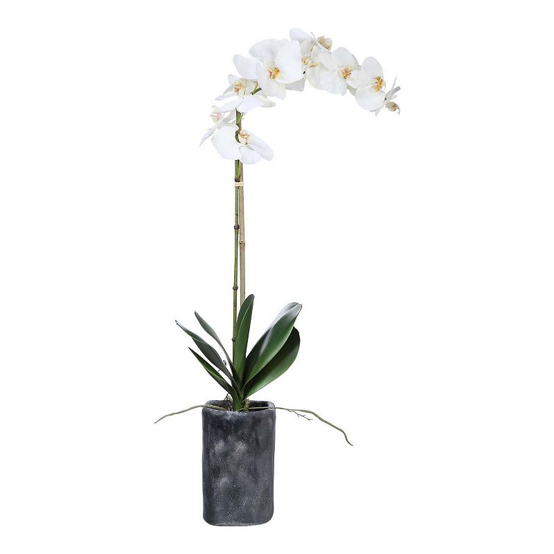 Uttermost Eponine White Orchid, Multicolor