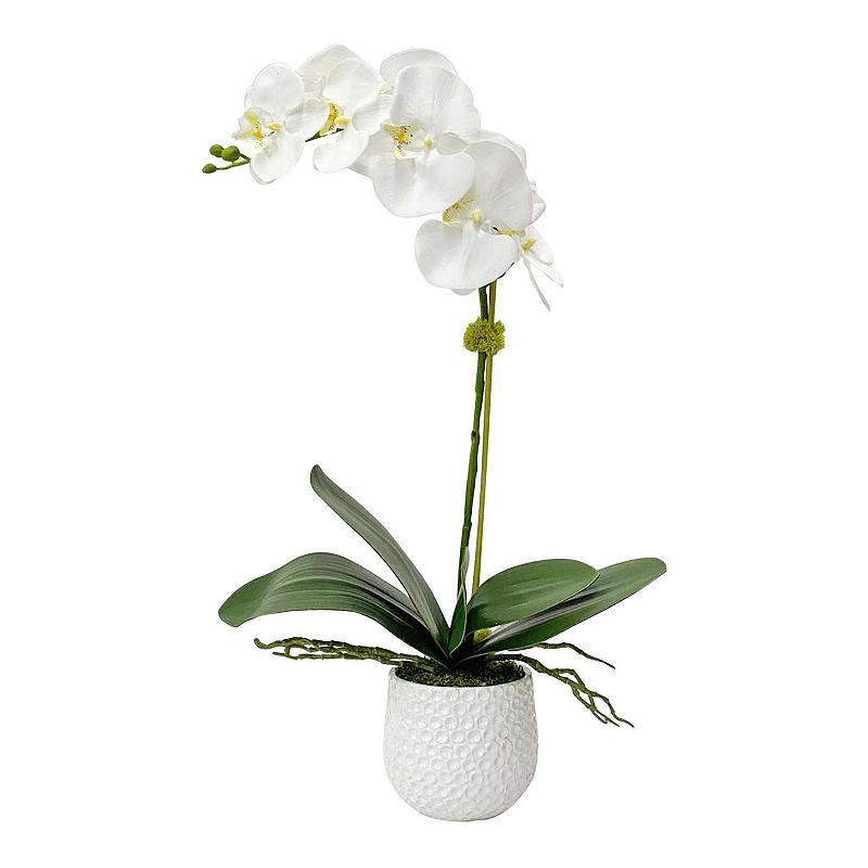 Uttermost Cami White Orchid, Multicolor