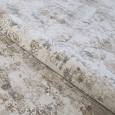 Couristan Easton Antique Lace Area Rug