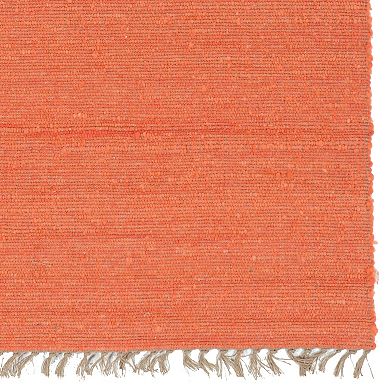 Linon Verginia Berber Coral Rug