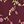 Burgundy Floral