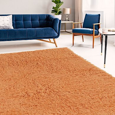 Linon New Flokati Sherbet Rug