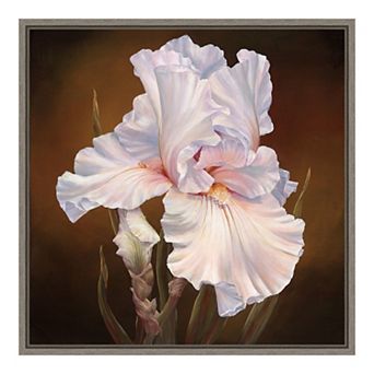 Amanti Art White Iris II Framed Canvas Wall Art