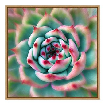 Amanti Art Deep Red Succulent Framed Canvas Wall Art