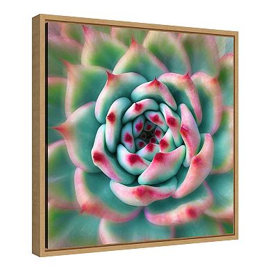 Amanti Art Deep Red Succulent Framed Canvas Wall Art