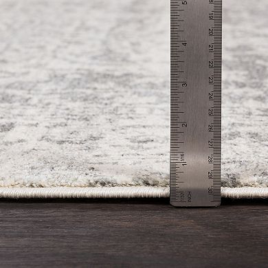 Decor 140 Astra Updated Traditional Rug