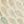 Beige Fish