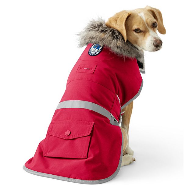 Lands end best sale dog coat