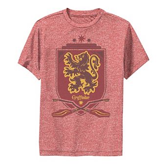 Boys 8-20 Harry Potter Gryffindor Quidditch Shield Graphic Tee