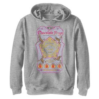 Boys 8-20 Harry Potter Chocolate Frogs Graphic Hoodie