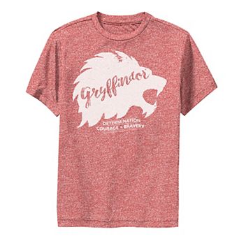 Boys 6-20 Harry Potter Gryffindor "Determination" Graphic Tee