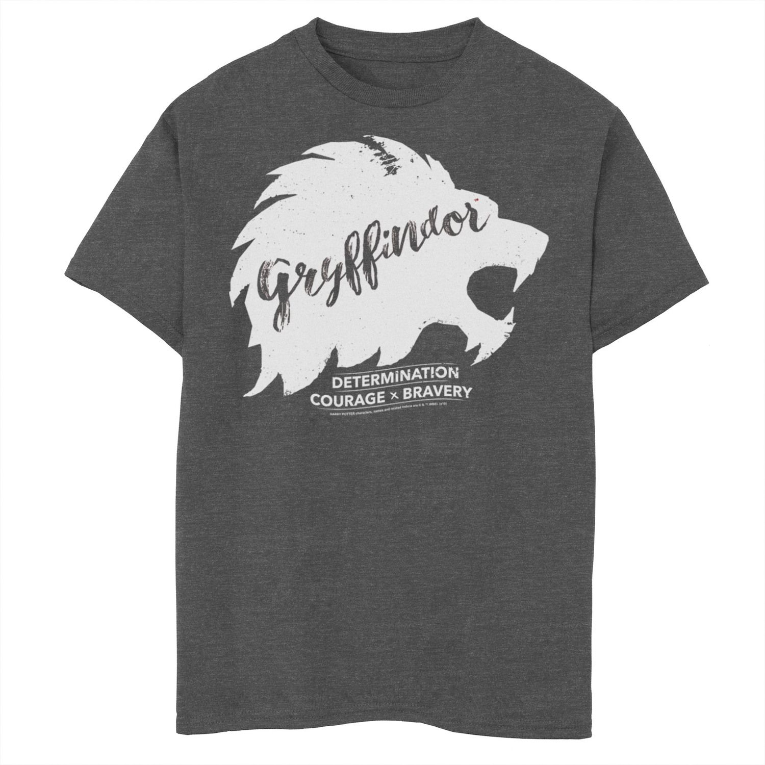 Image for Harry Potter Boys 8-20 Gryffindor "Determination" Graphic Tee at Kohl's.