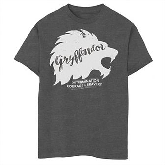 Boys 8-20 Harry Potter Gryffindor "Determination" Graphic Tee
