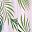Pink White Palm