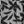 White Stripe Floral