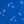 Cool Cobalt Floral