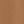 Canyon Camel