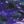 Blue Galaxy Cosmos