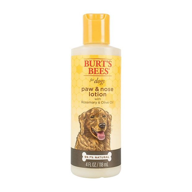 Burt's bees dog 2025 paw & nose lotion