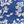 Blue Open Floral