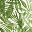 Green Layered Palm