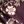 Maroon Placed Floral