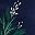 Navy Pine Branches