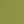 Winter Pear