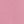 Soft English Rose