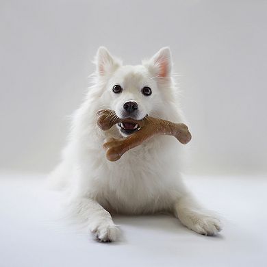 Lumabone Bacon Wishbone Dog Chew Toy - Medium