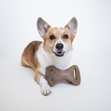 Lumabone Bacon Dental Chew Dog Toy - Medium