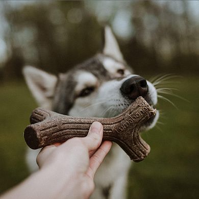 Lumabone Stick Dog Chew Toy - Small