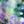 Blue Green Cosmos
